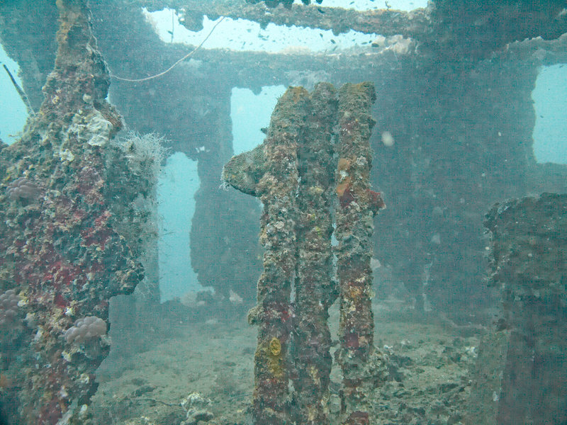 Wreck, Japanese Patrolboat